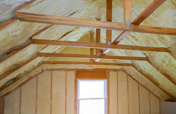 Best Home Insulation Services  in West Liberty, IA