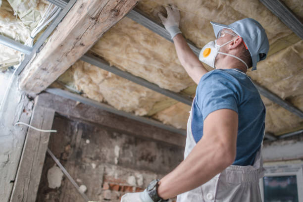 Best Affordable Insulation Services  in West Liberty, IA