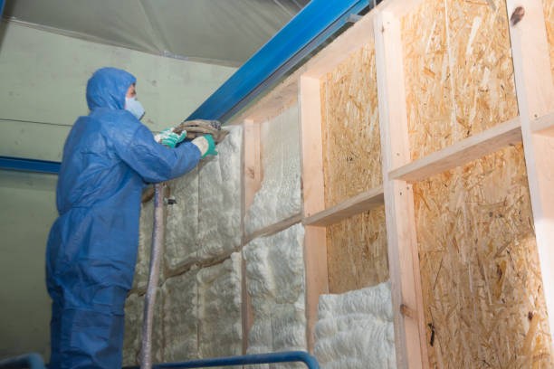 Best Spray Foam Insulation  in West Liberty, IA